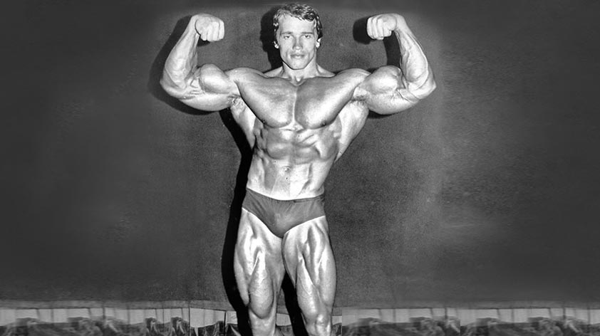 Total Recall - Arnold Schwarzenegger